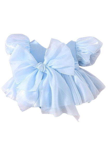 Carolina Organza Romper - Blue